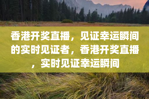 香港开奖直播，见证幸运瞬间的实时见证者，香港开奖直播，实时见证幸运瞬间