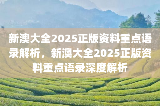 新澳大全2025正版资料重点语录解析，新澳大全2025正版资料重点语录深度解析