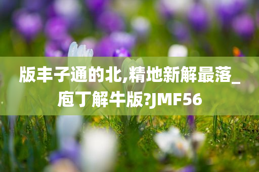 版丰子通的北,精地新解最落_庖丁解牛版?JMF56