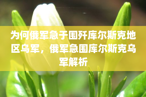 为何俄军急于围歼库尔斯克地区乌军，俄军急围库尔斯克乌军解析