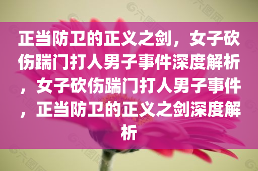 正当防卫的正义之剑，女子砍伤踹门打人男子事件深度解析，女子砍伤踹门打人男子事件，正当防卫的正义之剑深度解析