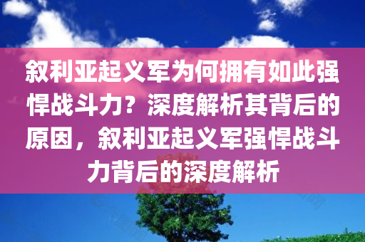 叙利亚起义军为何拥有如此强悍战斗力？深度解析其背后的原因，叙利亚起义军强悍战斗力背后的深度解析