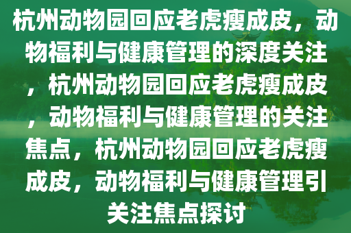 杭州动物园回应老虎瘦成皮，动物福利与健康管理的深度关注，杭州动物园回应老虎瘦成皮，动物福利与健康管理的关注焦点，杭州动物园回应老虎瘦成皮，动物福利与健康管理引关注焦点探讨