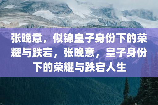 张晚意，似锦皇子身份下的荣耀与跌宕，张晚意，皇子身份下的荣耀与跌宕人生