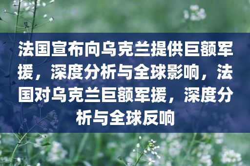 法国宣布向乌克兰提供巨额军援，深度分析与全球影响，法国对乌克兰巨额军援，深度分析与全球反响