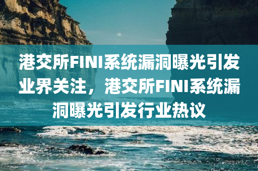 港交所FINI系统漏洞曝光引发业界关注，港交所FINI系统漏洞曝光引发行业热议