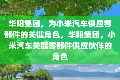 华阳集团，为小米汽车供应零部件的关键角色，华阳集团，小米汽车关键零部件供应伙伴的角色