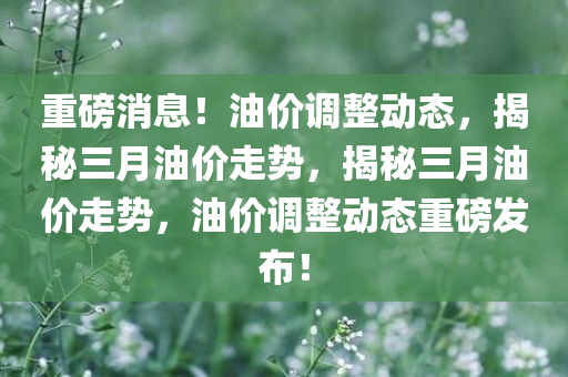 重磅消息！油价调整动态，揭秘三月油价走势，揭秘三月油价走势，油价调整动态重磅发布！