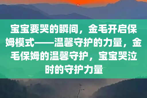 宝宝要哭的瞬间，金毛开启保姆模式——温馨守护的力量，金毛保姆的温馨守护，宝宝哭泣时的守护力量