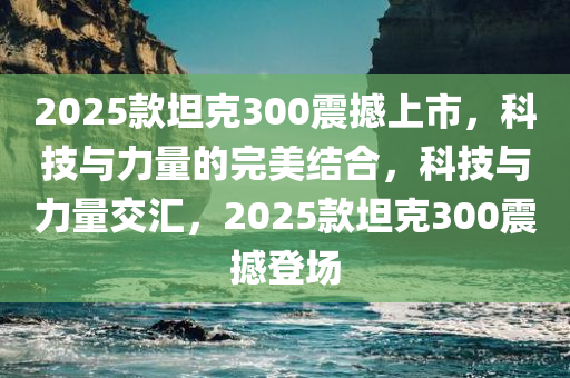 2025款坦克300震撼上市，科技与力量的完美结合，科技与力量交汇，2025款坦克300震撼登场