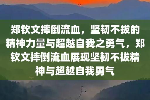 郑钦文摔倒流血，坚韧不拔的精神力量与超越自我之勇气，郑钦文摔倒流血展现坚韧不拔精神与超越自我勇气