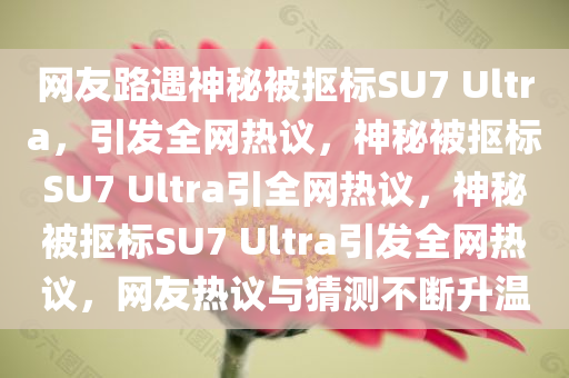 网友路遇神秘被抠标SU7 Ultra，引发全网热议，神秘被抠标SU7 Ultra引全网热议，神秘被抠标SU7 Ultra引发全网热议，网友热议与猜测不断升温