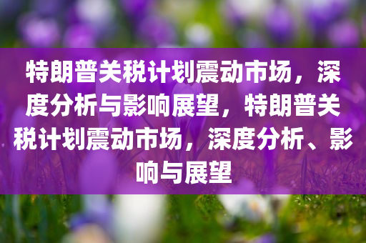 特朗普关税计划震动市场，深度分析与影响展望，特朗普关税计划震动市场，深度分析、影响与展望