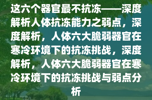 这六个器官最不抗冻——深度解析人体抗冻能力之弱点，深度解析，人体六大脆弱器官在寒冷环境下的抗冻挑战，深度解析，人体六大脆弱器官在寒冷环境下的抗冻挑战与弱点分析