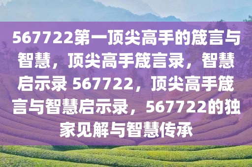 567722第一顶尖高手的箴言与智慧，顶尖高手箴言录，智慧启示录 567722，顶尖高手箴言与智慧启示录，567722的独家见解与智慧传承