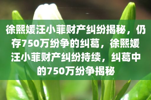 徐熙媛汪小菲财产纠纷揭秘，仍存750万纷争的纠葛，徐熙媛汪小菲财产纠纷持续，纠葛中的750万纷争揭秘