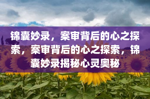 锦囊妙录，案审背后的心之探索，案审背后的心之探索，锦囊妙录揭秘心灵奥秘