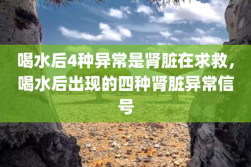 喝水后4种异常是肾脏在求救，喝水后出现的四种肾脏异常信号