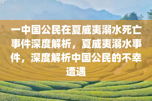 一中国公民在夏威夷溺水死亡事件深度解析，夏威夷溺水事件，深度解析中国公民的不幸遭遇