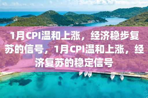 1月CPI温和上涨，经济稳步复苏的信号，1月CPI温和上涨，经济复苏的稳定信号