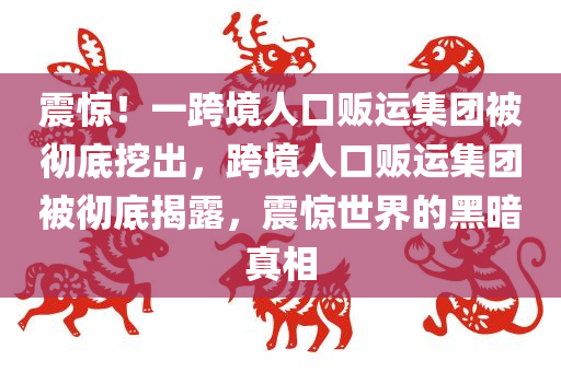 震惊！一跨境人口贩运集团被彻底挖出，跨境人口贩运集团被彻底揭露，震惊世界的黑暗真相