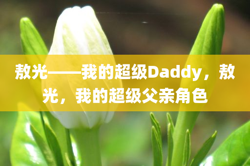 敖光——我的超级Daddy，敖光，我的超级父亲角色