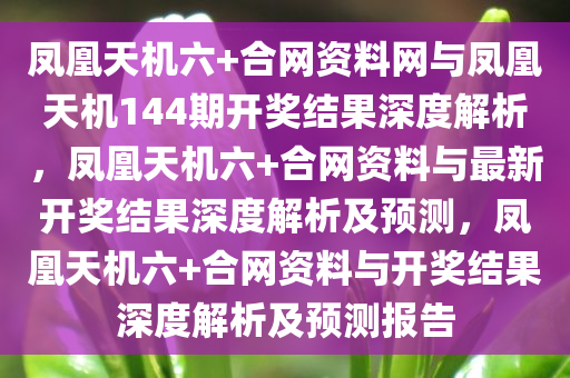 凤凰天机六+合网资料网与凤凰天机144期开奖结果深度解析，凤凰天机六+合网资料与最新开奖结果深度解析及预测，凤凰天机六+合网资料与开奖结果深度解析及预测报告