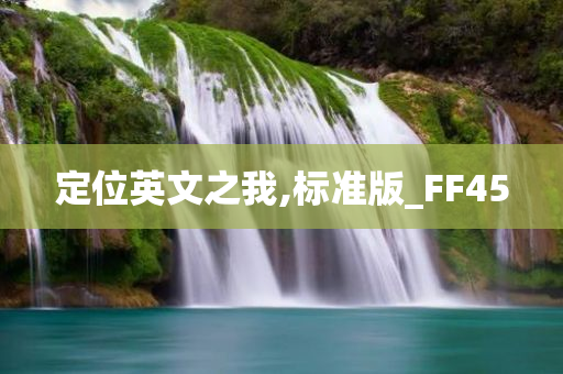 定位英文之我,标准版_FF45