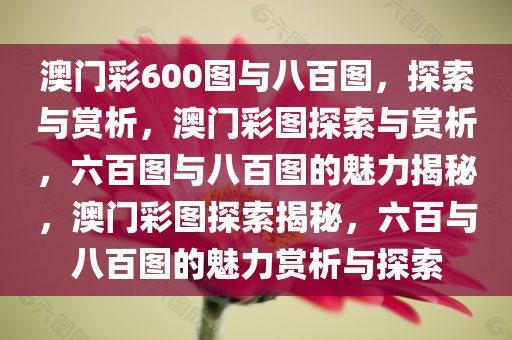 澳门彩600图与八百图，探索与赏析，澳门彩图探索与赏析，六百图与八百图的魅力揭秘，澳门彩图探索揭秘，六百与八百图的魅力赏析与探索