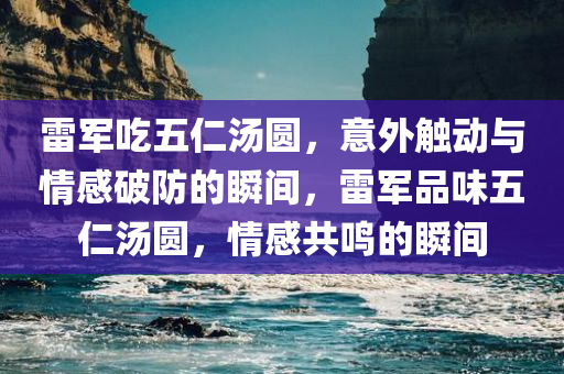 雷军吃五仁汤圆，意外触动与情感破防的瞬间，雷军品味五仁汤圆，情感共鸣的瞬间