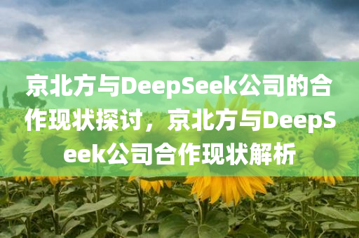 京北方与DeepSeek公司的合作现状探讨，京北方与DeepSeek公司合作现状解析