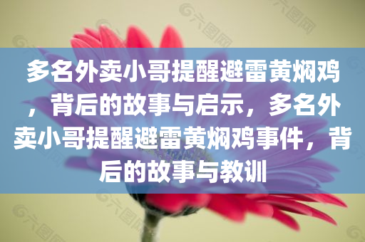 多名外卖小哥提醒避雷黄焖鸡，背后的故事与启示，多名外卖小哥提醒避雷黄焖鸡事件，背后的故事与教训