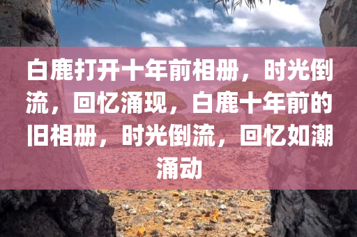 白鹿打开十年前相册，时光倒流，回忆涌现，白鹿十年前的旧相册，时光倒流，回忆如潮涌动