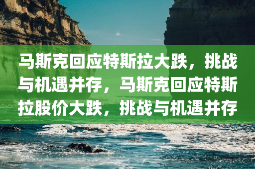 马斯克回应特斯拉大跌，挑战与机遇并存，马斯克回应特斯拉股价大跌，挑战与机遇并存