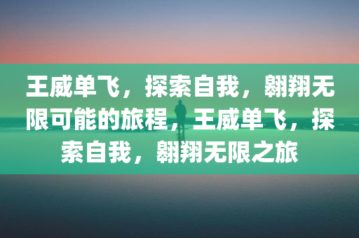 王威单飞，探索自我，翱翔无限可能的旅程，王威单飞，探索自我，翱翔无限之旅