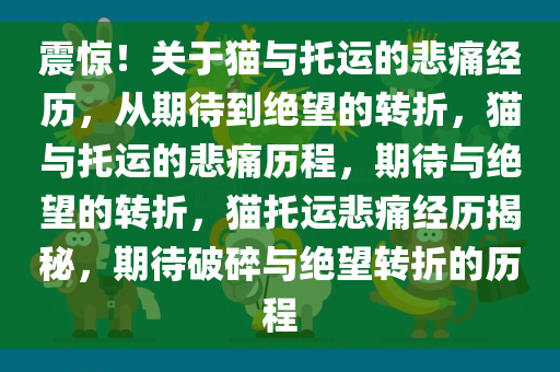 震惊！关于猫与托运的悲痛经历，从期待到绝望的转折，猫与托运的悲痛历程，期待与绝望的转折，猫托运悲痛经历揭秘，期待破碎与绝望转折的历程