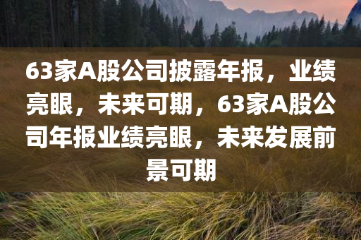 63家A股公司披露年报，业绩亮眼，未来可期，63家A股公司年报业绩亮眼，未来发展前景可期