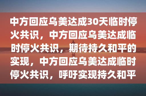 中方回应乌美达成30天临时停火共识，中方回应乌美达成临时停火共识，期待持久和平的实现，中方回应乌美达成临时停火共识，呼吁实现持久和平