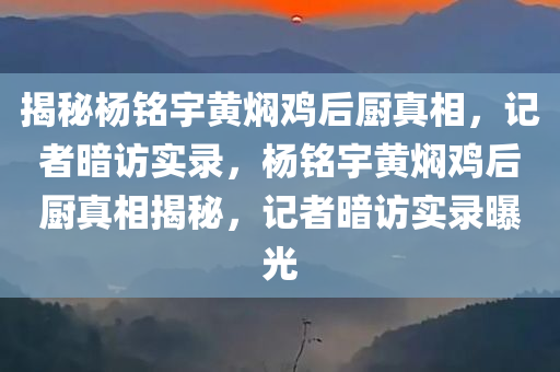 揭秘杨铭宇黄焖鸡后厨真相，记者暗访实录，杨铭宇黄焖鸡后厨真相揭秘，记者暗访实录曝光