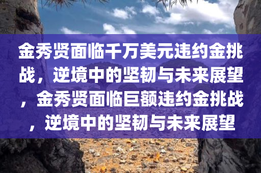 金秀贤面临千万美元违约金挑战，逆境中的坚韧与未来展望，金秀贤面临巨额违约金挑战，逆境中的坚韧与未来展望