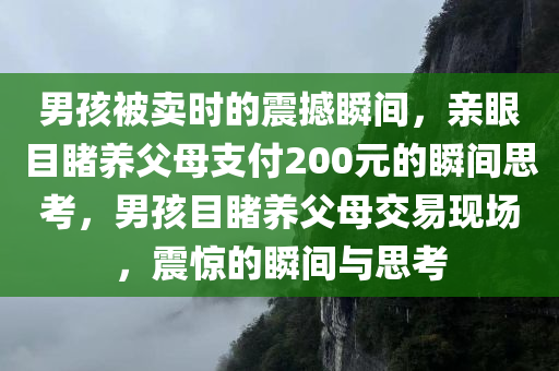 男孩被卖时的震撼瞬间，亲眼目睹养父母支付200元的瞬间思考，男孩目睹养父母交易现场，震惊的瞬间与思考