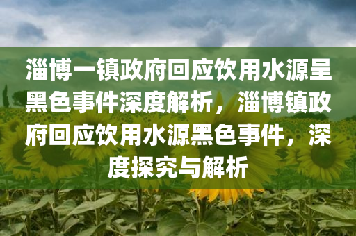 淄博一镇政府回应饮用水源呈黑色事件深度解析，淄博镇政府回应饮用水源黑色事件，深度探究与解析