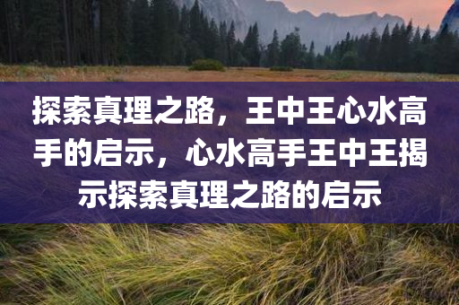 探索真理之路，王中王心水高手的启示，心水高手王中王揭示探索真理之路的启示