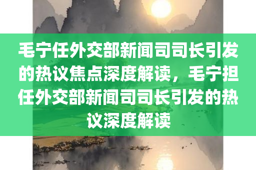 毛宁任外交部新闻司司长引发的热议焦点深度解读，毛宁担任外交部新闻司司长引发的热议深度解读