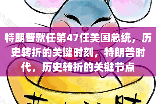 特朗普就任第47任美国总统，历史转折的关键时刻，特朗普时代，历史转折的关键节点