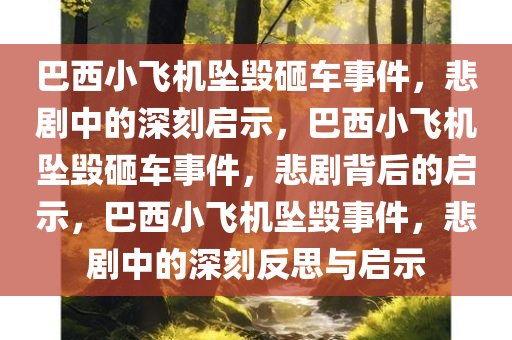 巴西小飞机坠毁砸车事件，悲剧中的深刻启示，巴西小飞机坠毁砸车事件，悲剧背后的启示，巴西小飞机坠毁事件，悲剧中的深刻反思与启示