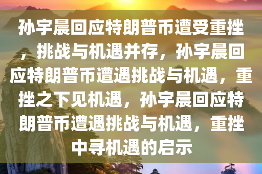 孙宇晨回应特朗普币遭受重挫，挑战与机遇并存，孙宇晨回应特朗普币遭遇挑战与机遇，重挫之下见机遇，孙宇晨回应特朗普币遭遇挑战与机遇，重挫中寻机遇的启示