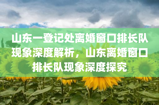 山东一登记处离婚窗口排长队现象深度解析，山东离婚窗口排长队现象深度探究