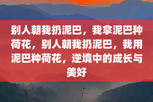 别人朝我扔泥巴，我拿泥巴种荷花，别人朝我扔泥巴，我用泥巴种荷花，逆境中的成长与美好