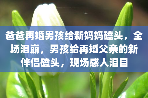 爸爸再婚男孩给新妈妈磕头，全场泪崩，男孩给再婚父亲的新伴侣磕头，现场感人泪目